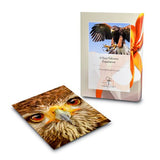 Find Me a Gift 3 Hour Falconry Gift Experience GOODS Superdrug   