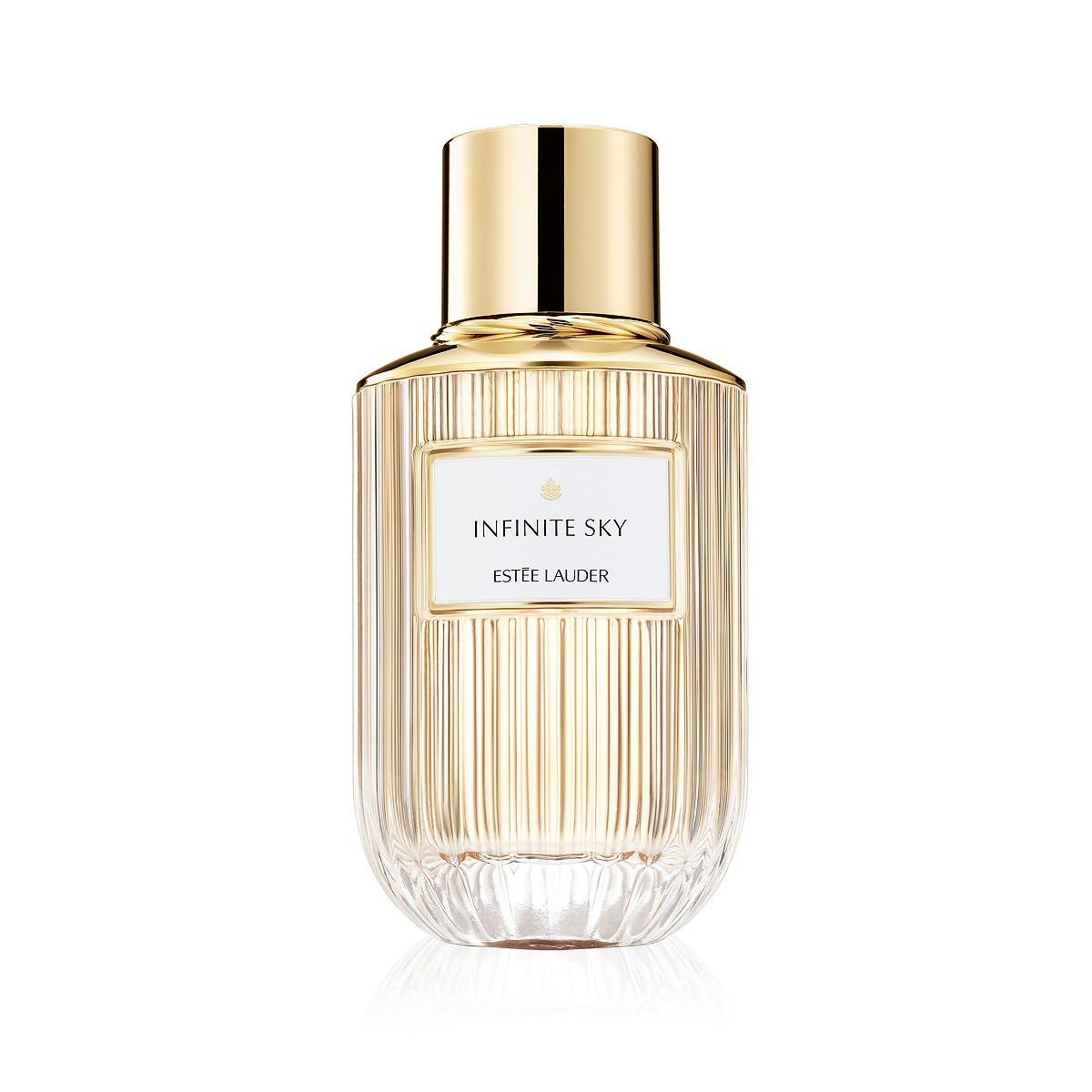 Est&amp;eacute;e Lauder Refillable Infinite Sky Eau de Parfum 100ml