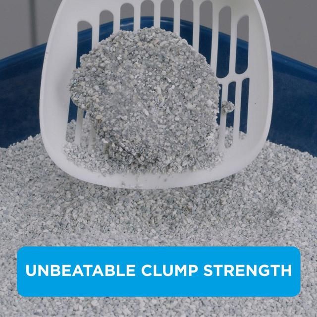 Ever Clean Clumping Cat Litter Litterfree Paws   10L