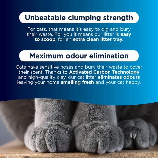 Ever Clean Extra Strong Scented Clumping Cat Litter   10L