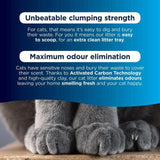 Ever Clean Extra Strong Unscented Clumping Cat Litter   10L