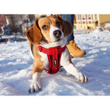 EzyDog Chest Plate Red Dog Harness