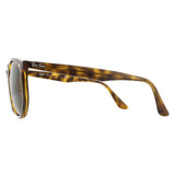 Ray-Ban RB4306 brown unisex sunglasses, UK version