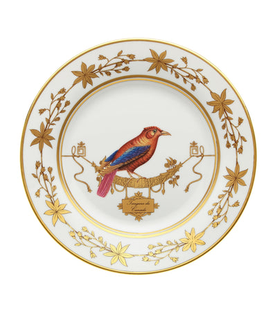 GINORI 1735 Volière Tanager Porcelain Dinner Plate 26.5cm