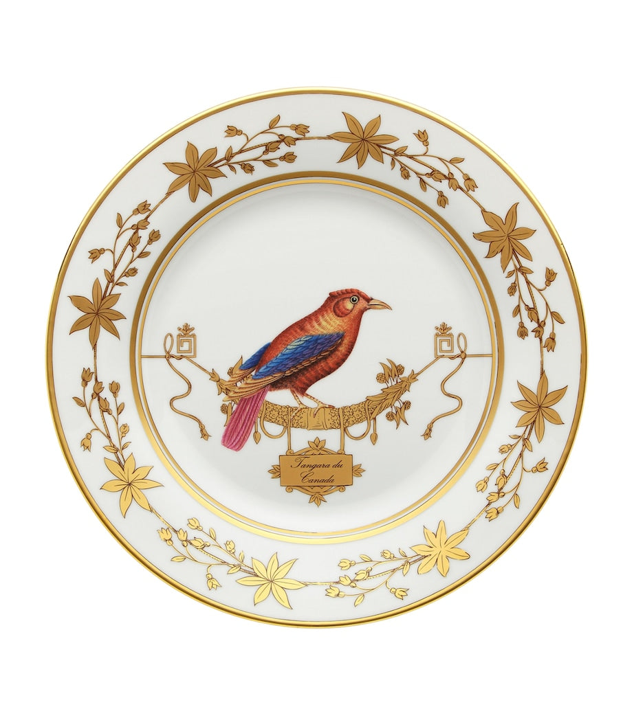 GINORI 1735 Volière Tanager dinner plate 26.5cm (British brand)