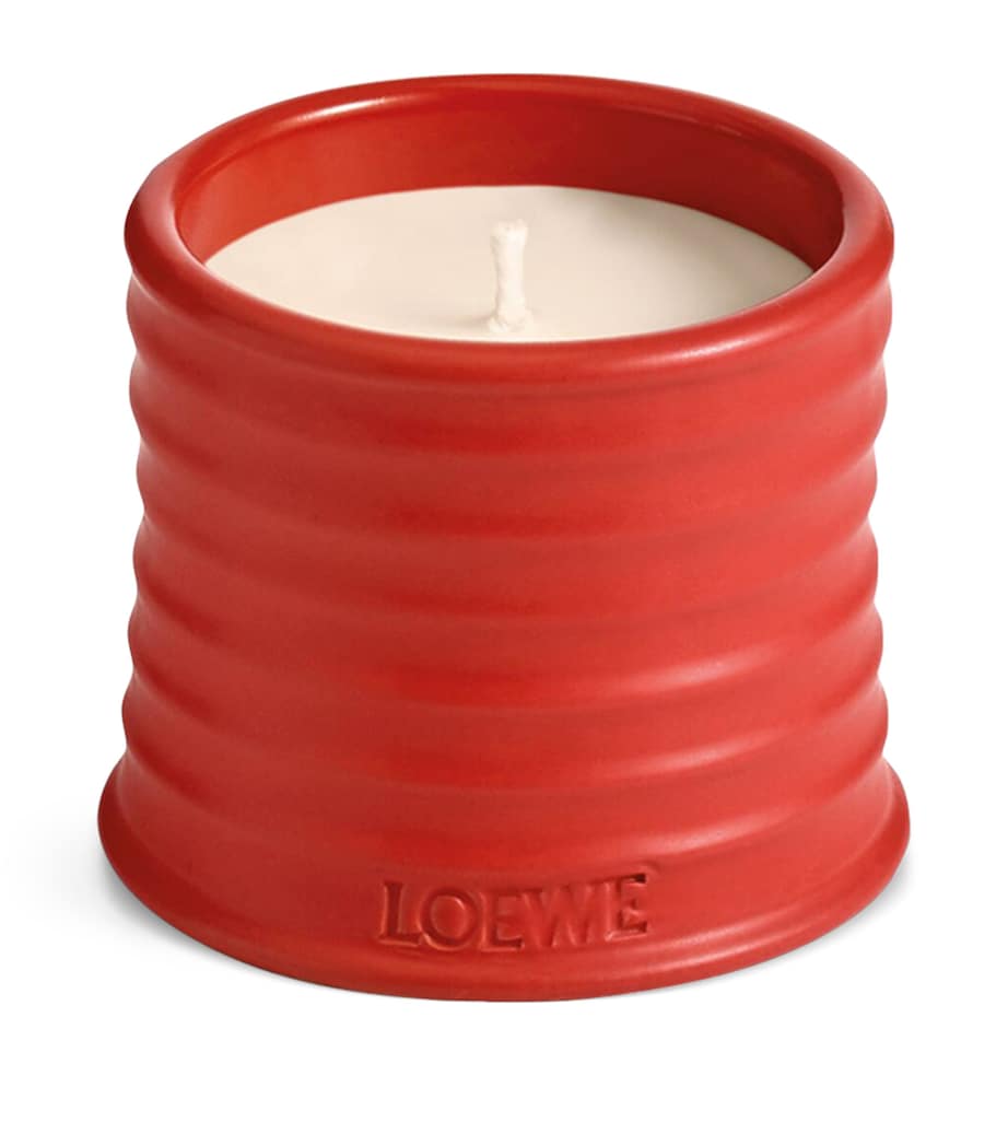 LOEWE Tomato Leaves candle 170g, UK version