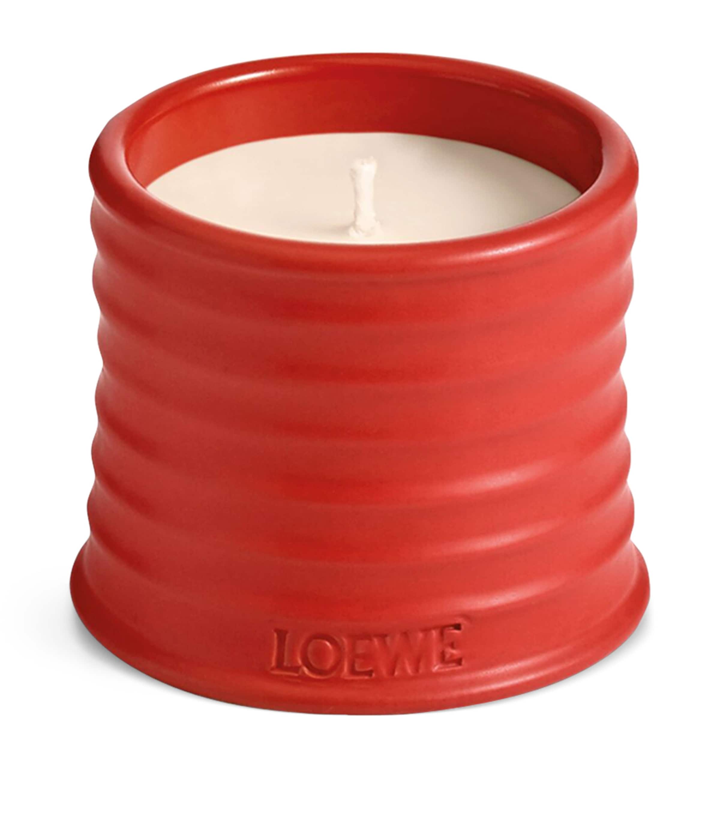 LOEWE Tomato Leaves candle 170g, UK version