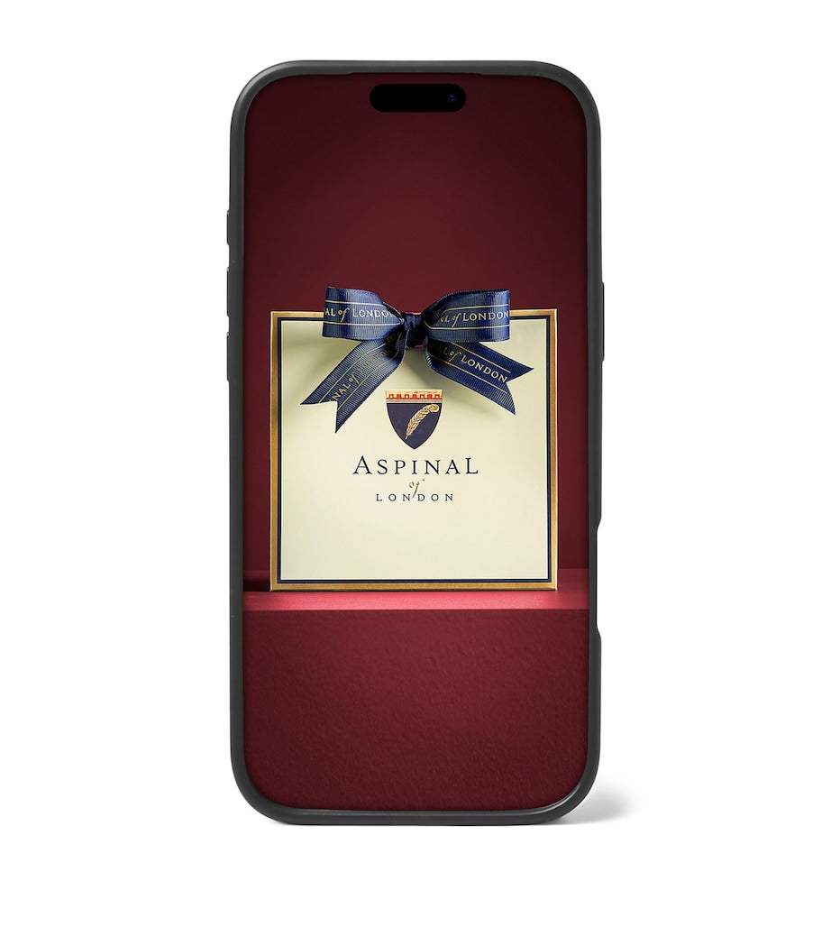 Aspinal Of London grained leather iPhone 17 Pro case - British product