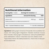 VitaBright Dual Active Vitamin B12 supplement 60 vegan tablets, UK version