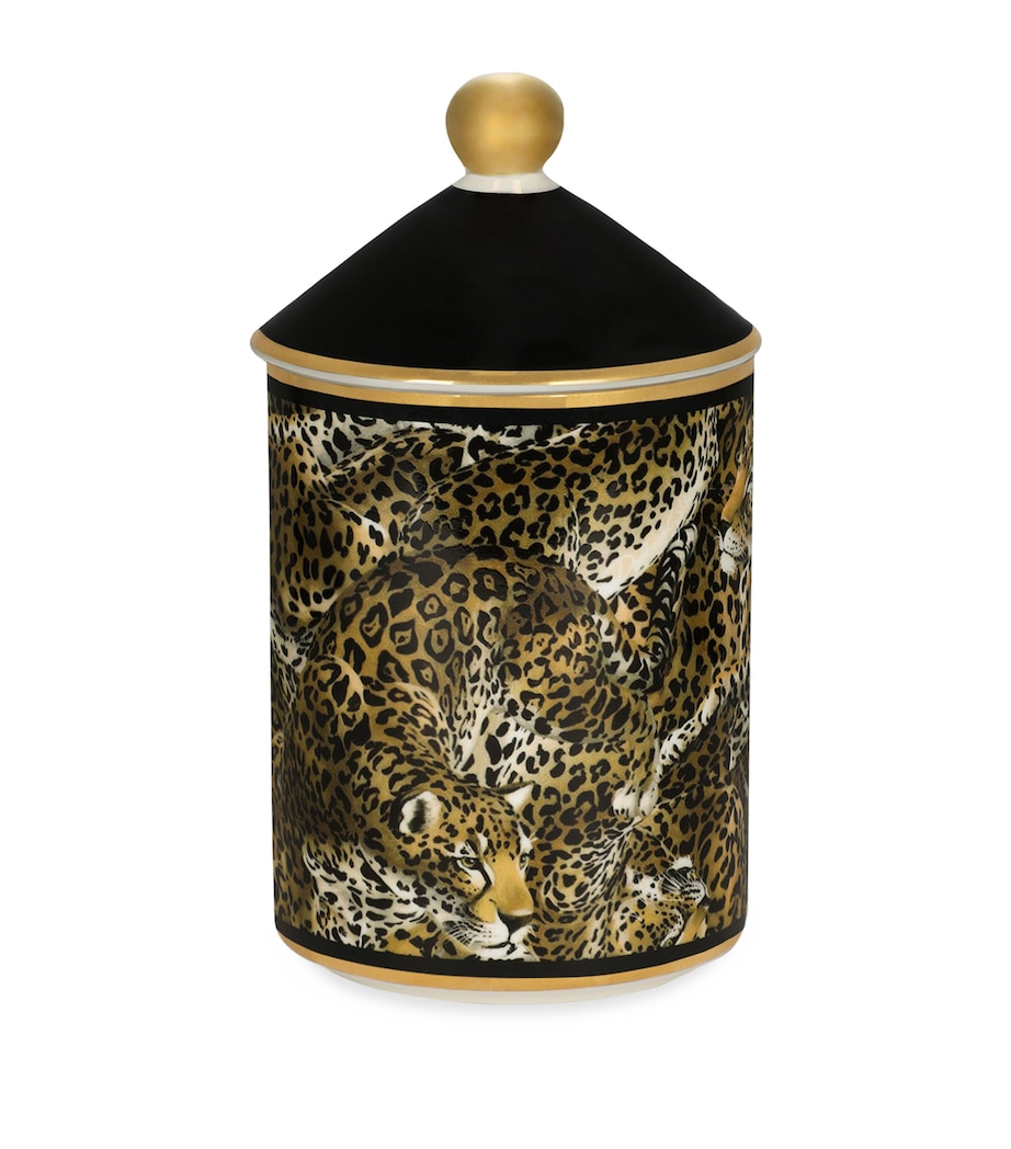 Dolce&Gabbana patchouli scented candle 340g - British product