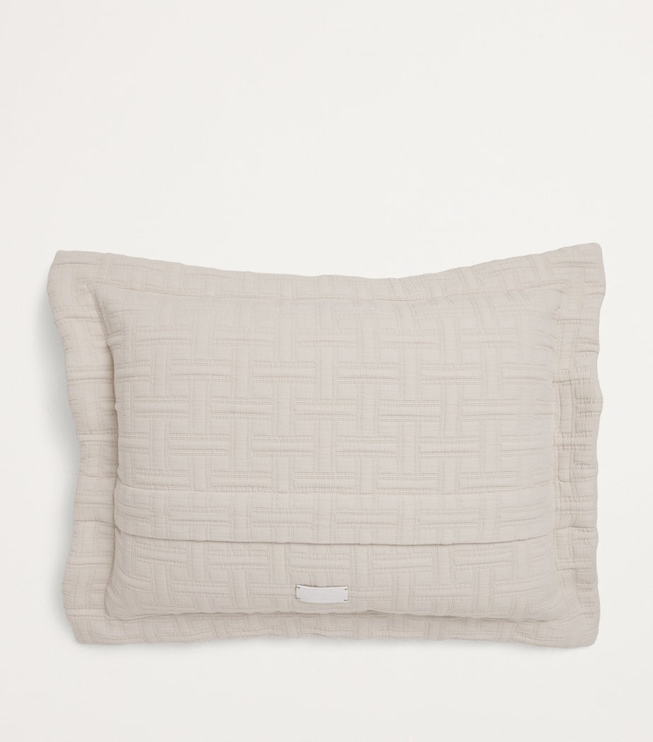 Peter Reed Kengo Oxford cushion 60cm x 45cm, imported from the UK