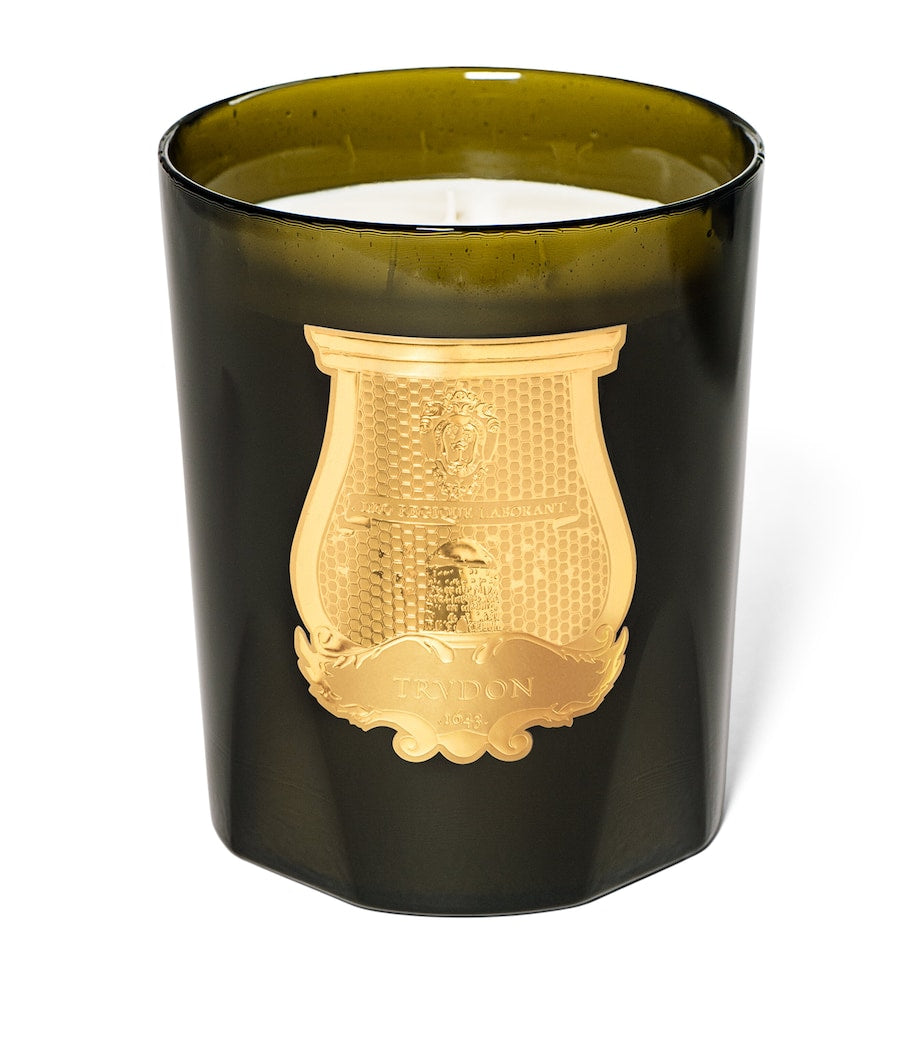 Luxury Trudon Joséphine candle 2.8kg - British product