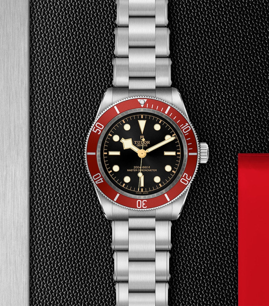 Tudor Black Bay 41mm stainless steel watch (British brand)