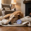 Nilaqua organic calming chamomile nose and paw balm, imported from the UK
