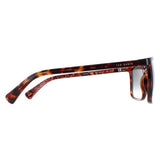 Ted Baker TB1663 Havna Brown sunglasses, imported from the UK