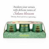 Candlelight Chengdu mini candle set emerald glass, UK version