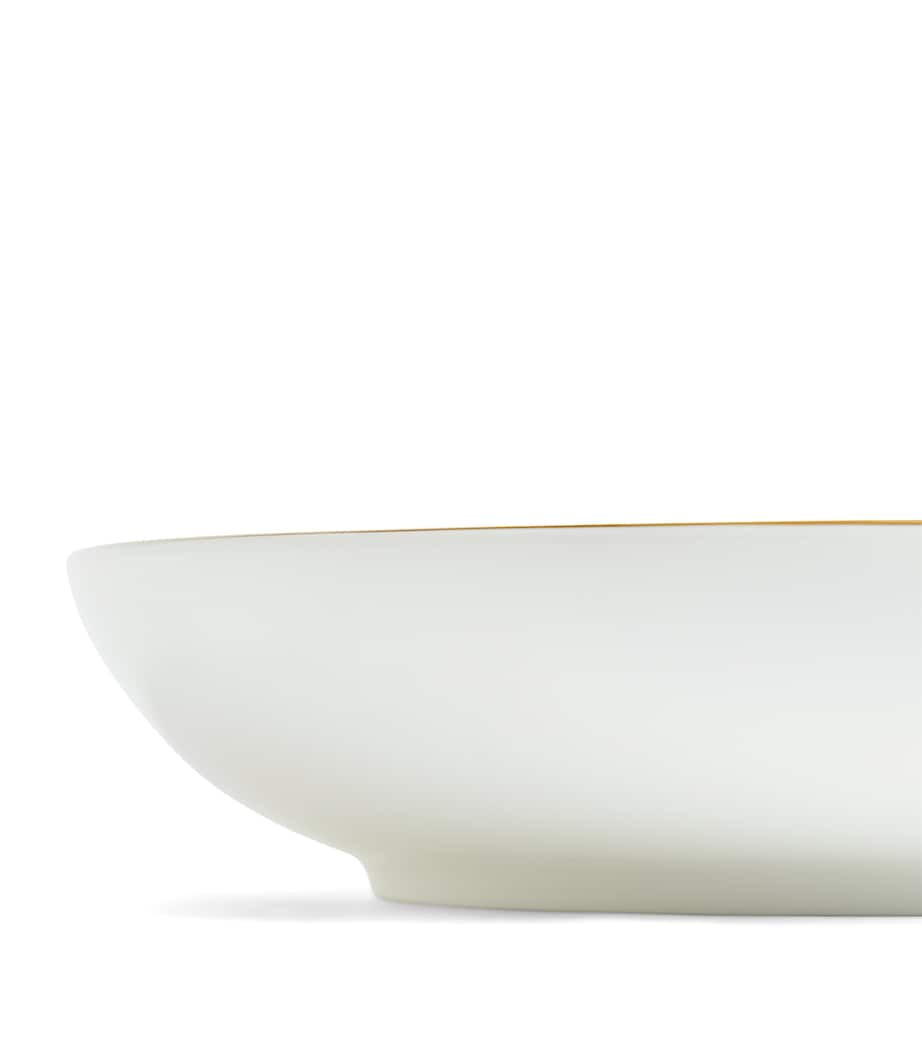 Wedgwood Wild Strawberry pasta bowl 24cm (British brand)