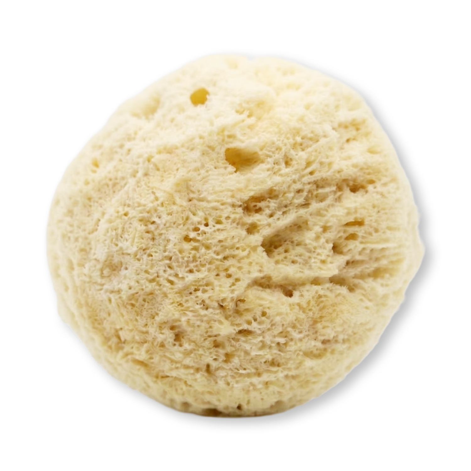 GentleSheep Wool Baby Sponge, imported from the UK