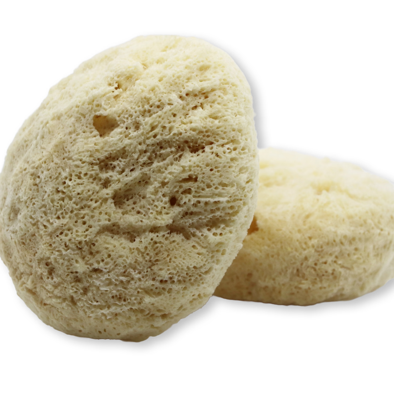 GentleSheep Wool Baby Sponge, imported from the UK