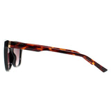 Ted Baker TB1639 Tanner black gradient sunglasses, UK version
