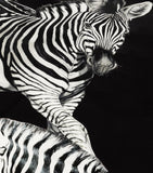 Dolce&Gabbana Casa Silk Zebra Quilted Throw 140cm x 180cm - British product