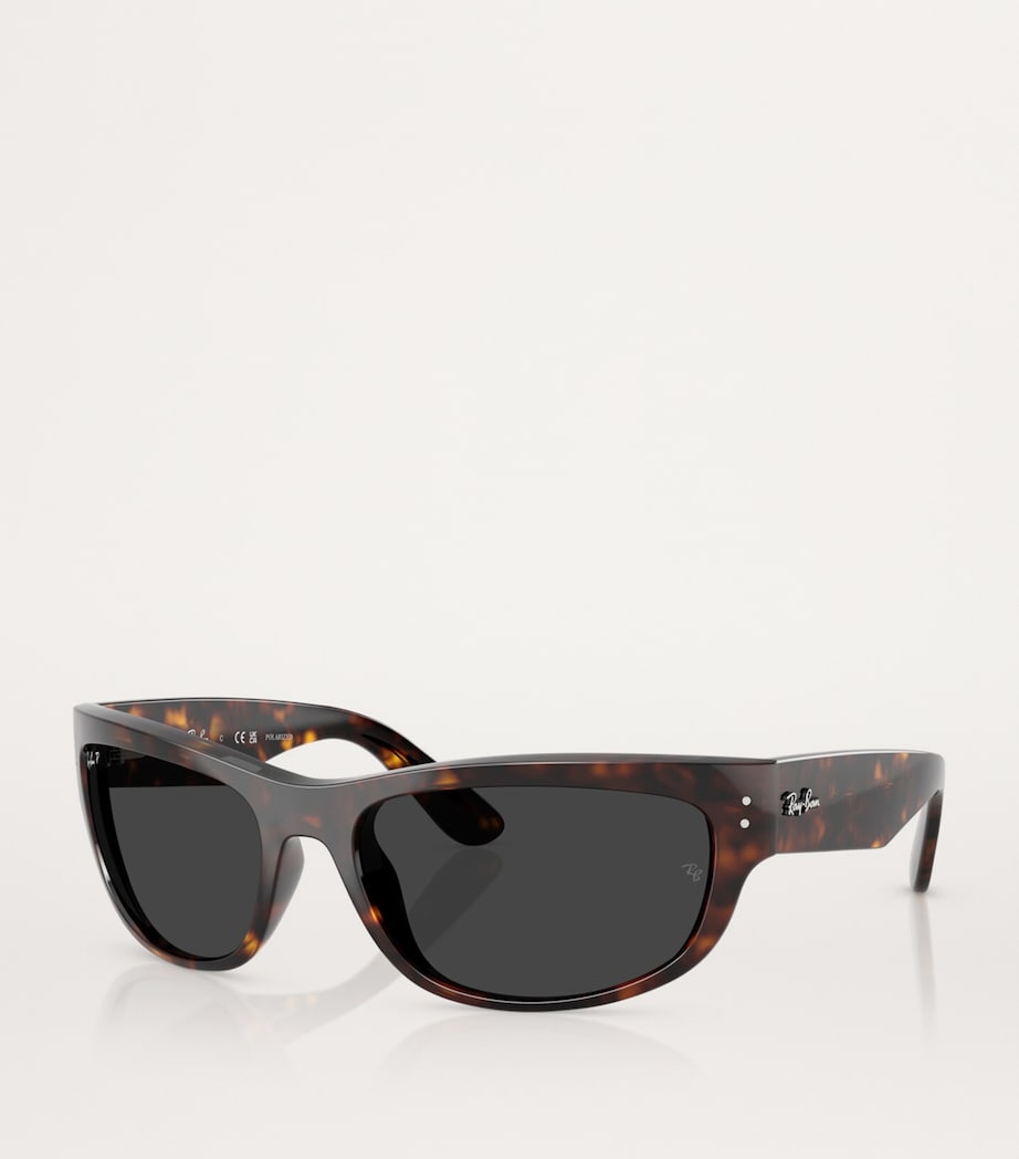 Ray-Ban Mega Balorama sunglasses, UK version