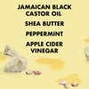 SheaMoisture Jamaican Black Castor Oil Conditioner 384ml (British brand)