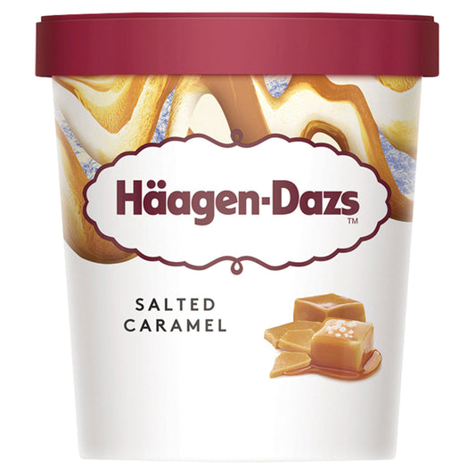 Haagen-Dazs Salted Caramel Ice Cream 460ml GOODS Sainsburys   
