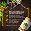 NaturesPlus organic vitamin C 60 capsules (British brand)