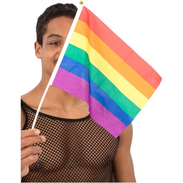 Smiffys rainbow hand held flags 45x30cm 12pk, imported from the UK