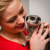 Find Me a Gift Meerkat Encounter for Two Gift Experience GOODS Superdrug   