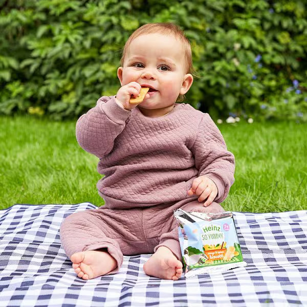 Heinz Apple Biscotti fruit baby snack biscuits for babies, UK version