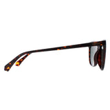 Polaroid brown polarized cat eye sunglasses for women, UK version
