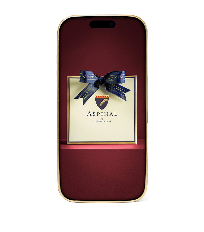 Aspinal of London leather iPhone 16 Pro case - British product