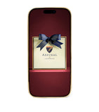 Aspinal of London leather iPhone 16 Pro case - British product