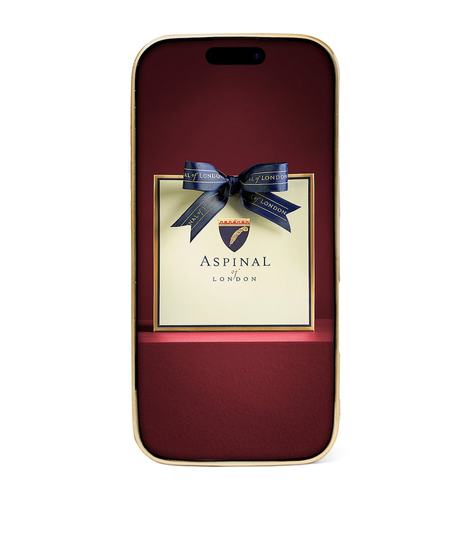 Aspinal of London leather iPhone 16 Pro case - British product