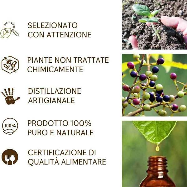 Il Labirinto Officinale litsea essential oil - British product
