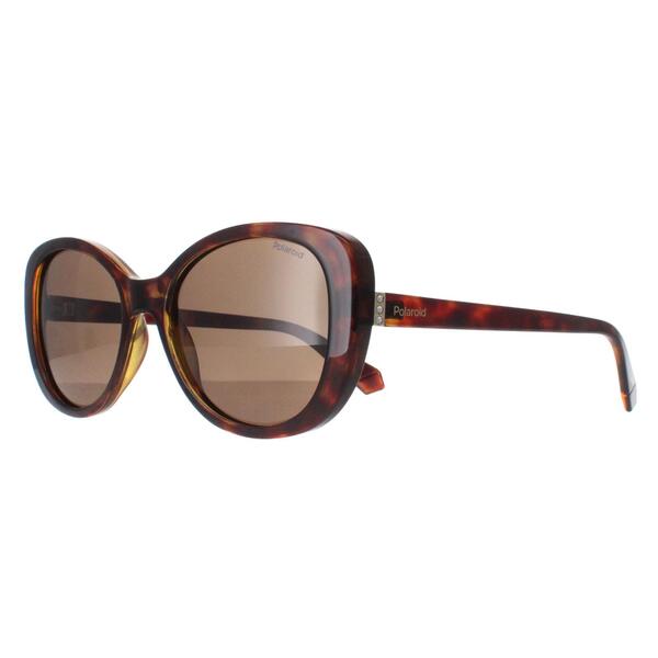 Polaroid Havana Bronze polarized women's sunglasses, UK version