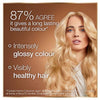 Garnier Permanent Hair Dye Coffee Roast Brown 5.0, UK version