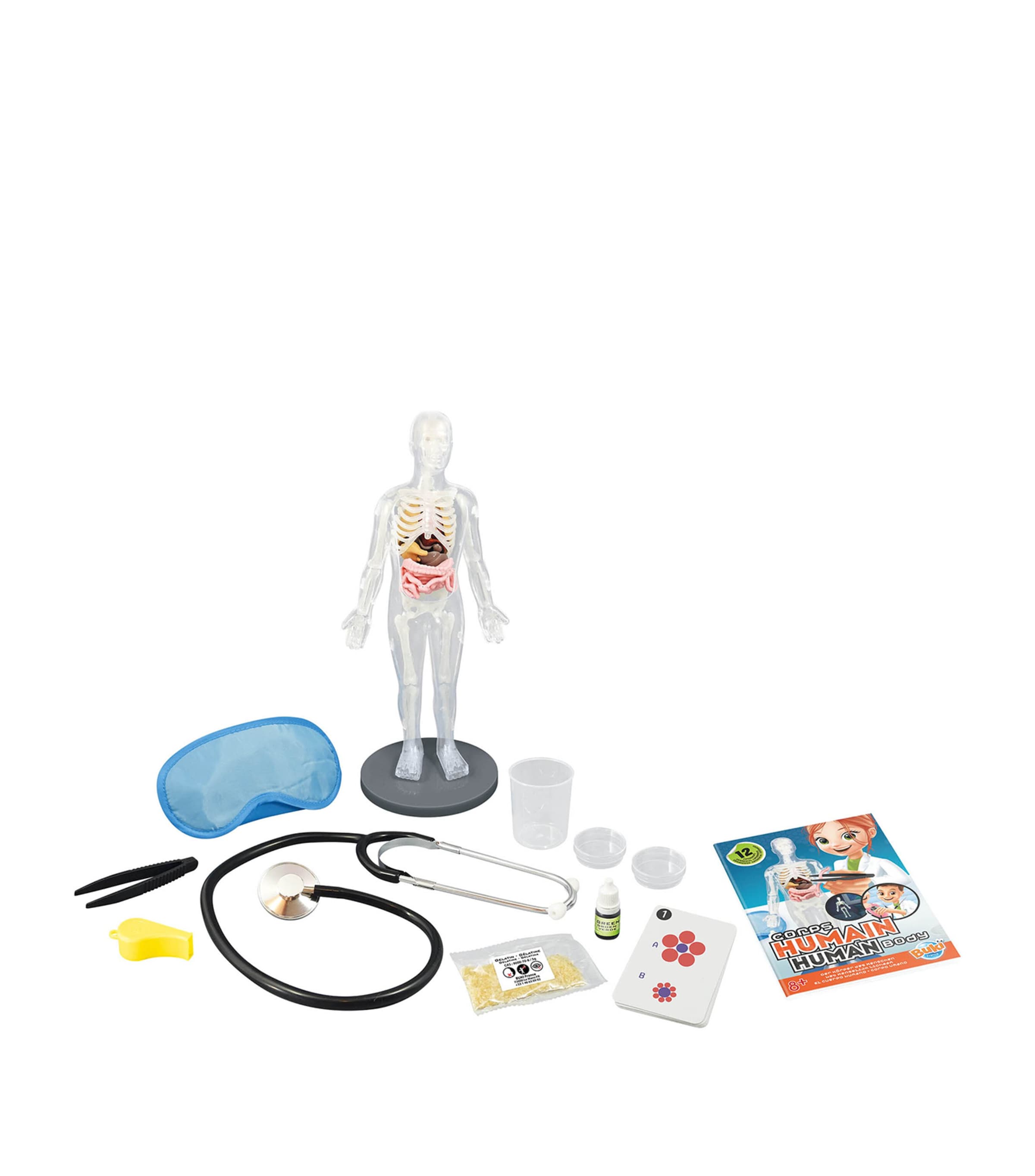 BUKI human body toy - British product