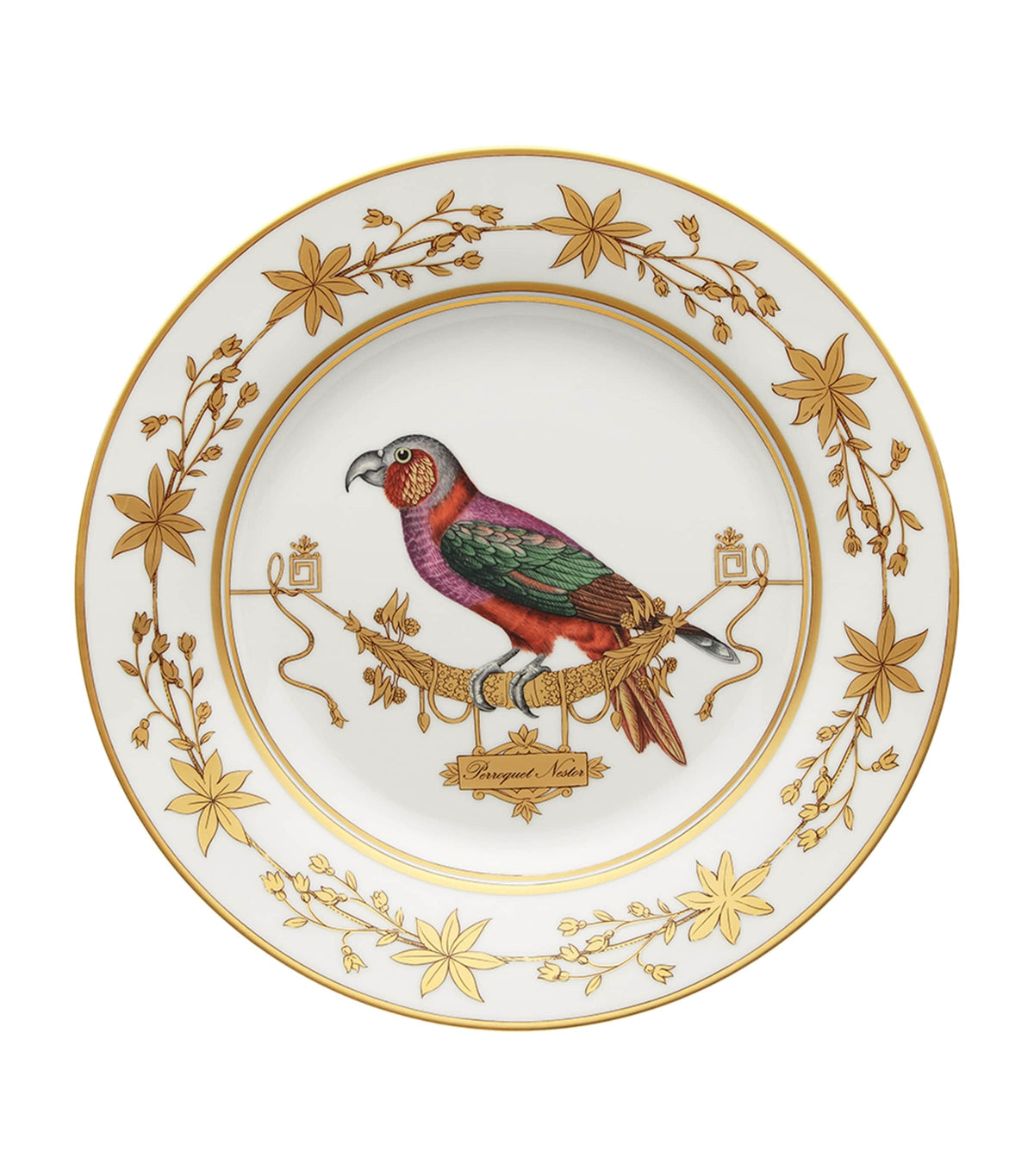 GINORI 1735 Volière Perroquet Nestor porcelain dinner plate 26.5cm, UK version