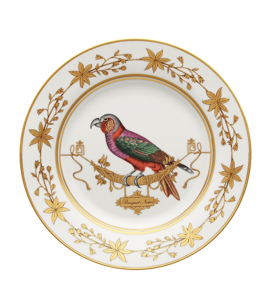 GINORI 1735 Volière Perroquet Nestor porcelain dinner plate 26.5cm, UK version