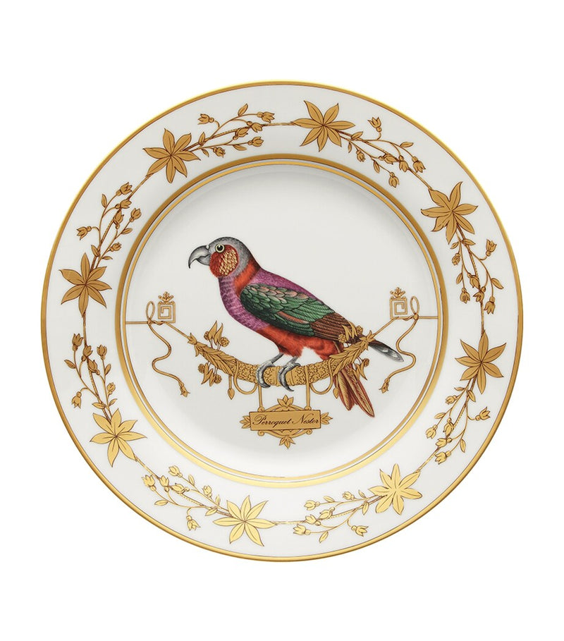 GINORI 1735 Volière Perroquet Nestor porcelain dinner plate 26.5cm, UK version