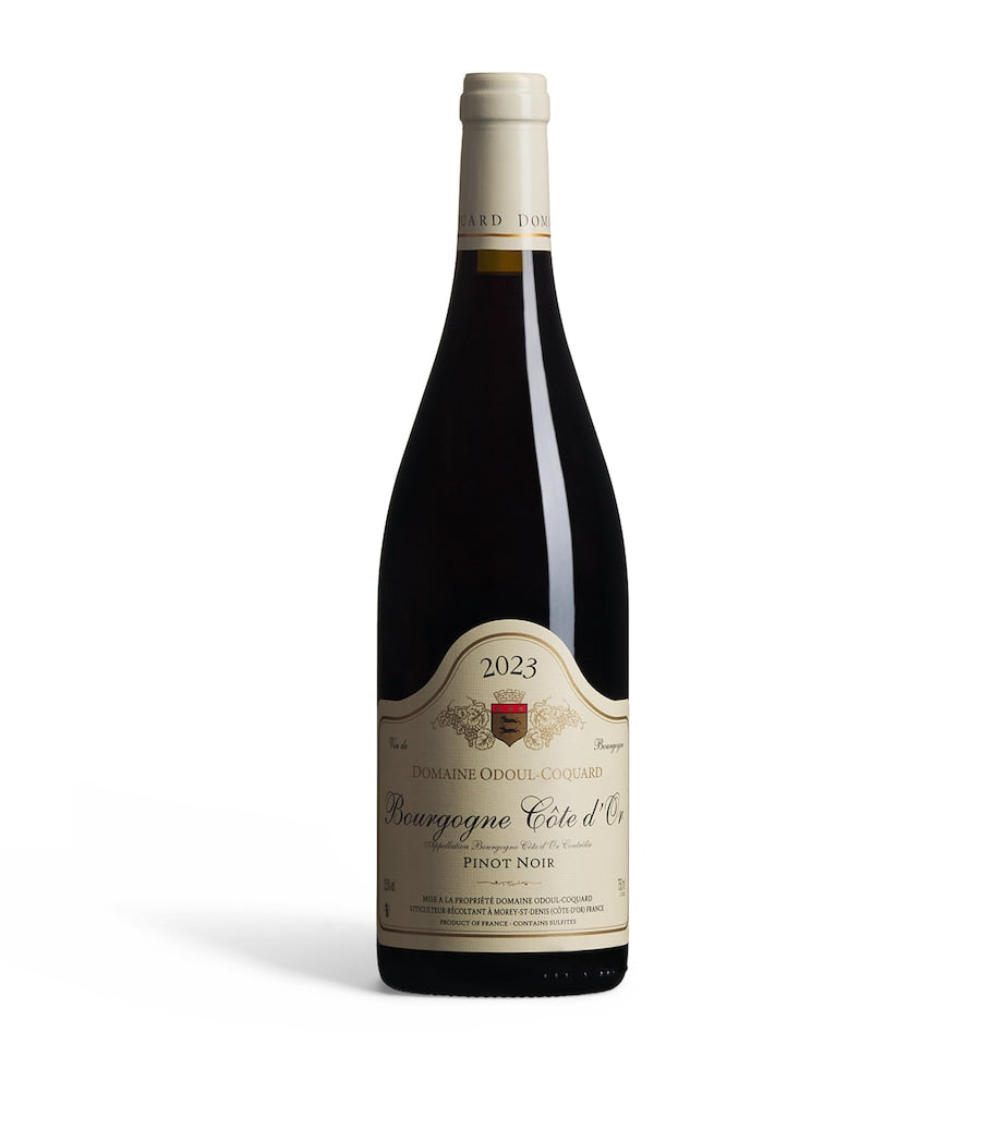 Odoul Coquard Bourgogne Rouge 2023 75cl, imported from the UK