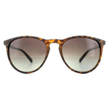 Polaroid brown polarised sunglasses - British product