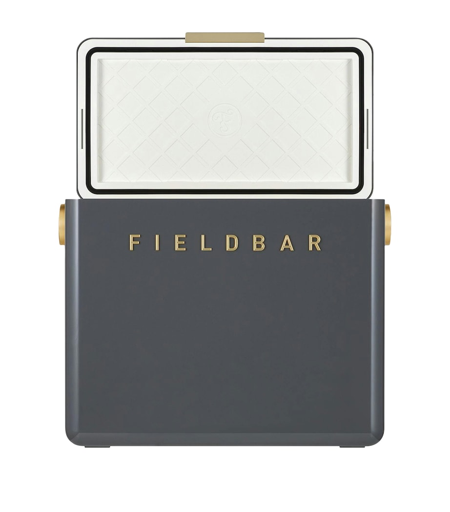 Fieldbar gin trunk cooler box - British product