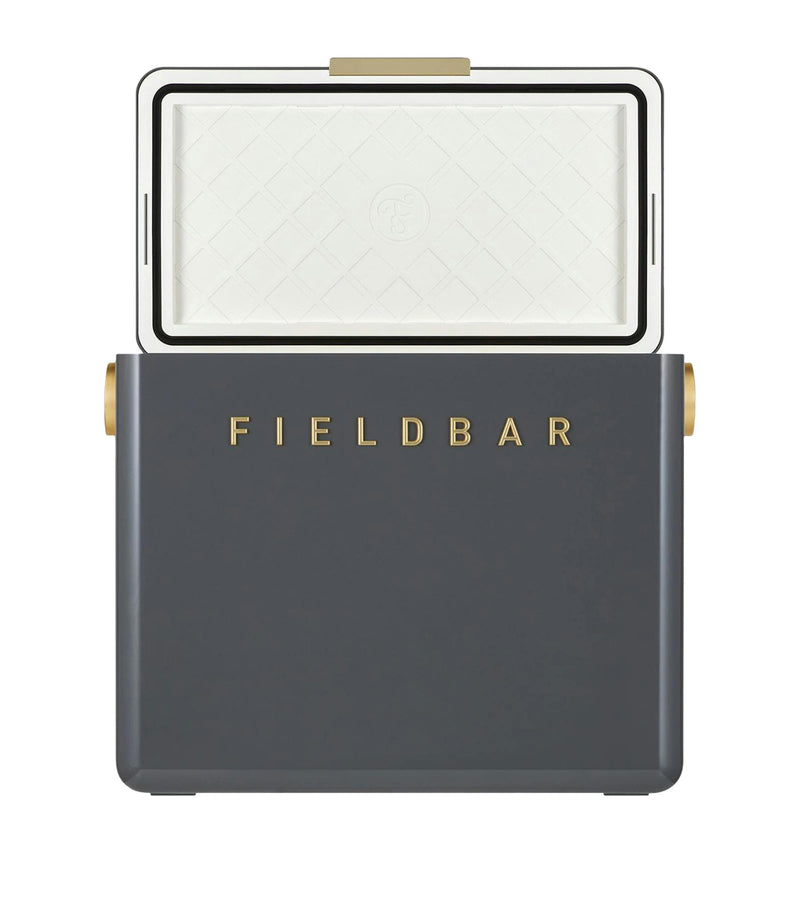 Fieldbar gin trunk cooler box - British product