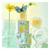 Tocobo Lemon Sugar Scrub Lip Mask 20ml (British brand)
