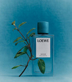 LOEWE Perfumes Incense room spray 100ml (British brand)