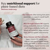 Vegan Wellness Co. multivitamin 60 capsules - British product
